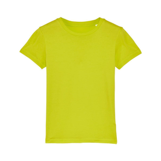 T-Shirt scale green
